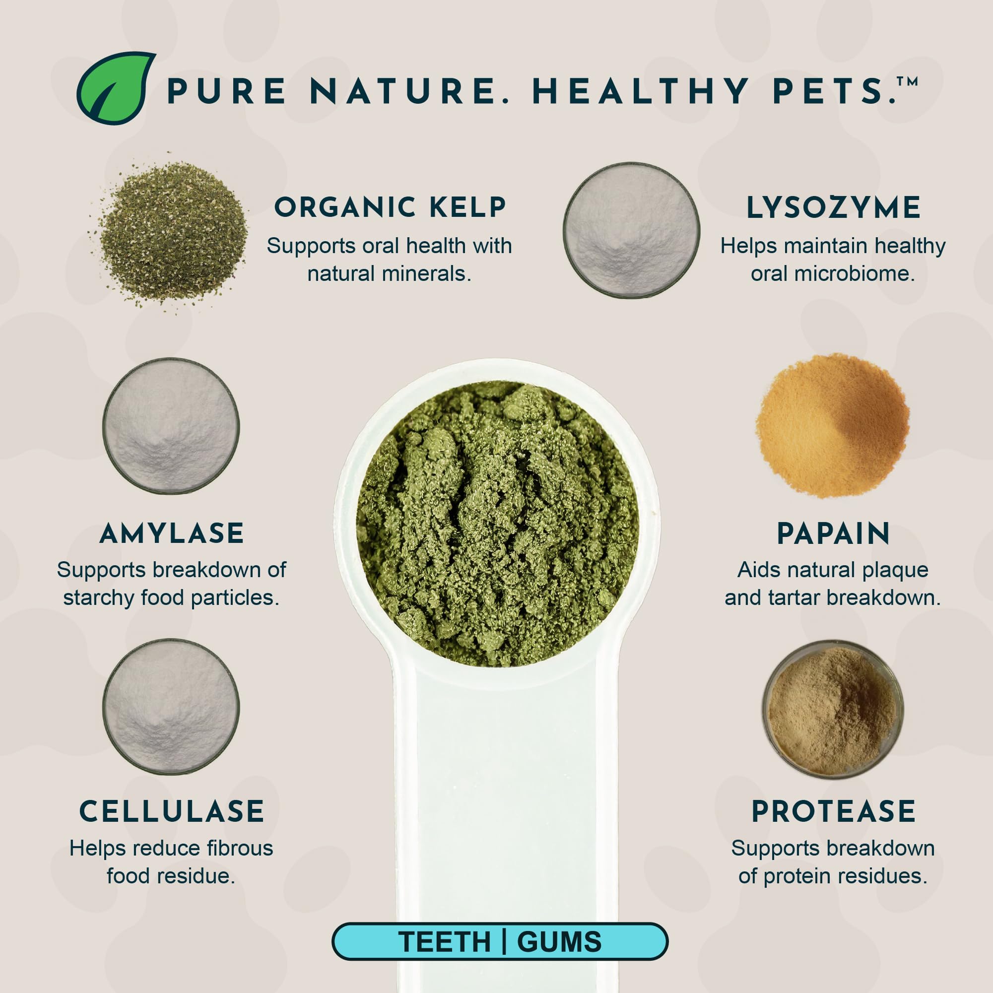 Sea-Dent scoop-and-jar highlights easy daily dosing for canine dental care.
