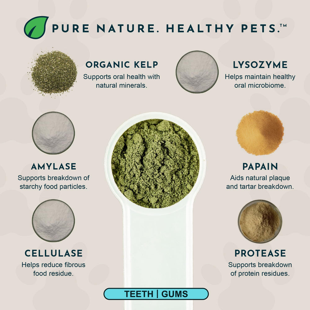 Sea-Dent scoop-and-jar highlights easy daily dosing for canine dental care.