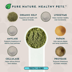 Sea-Dent scoop-and-jar highlights easy daily dosing for canine dental care.