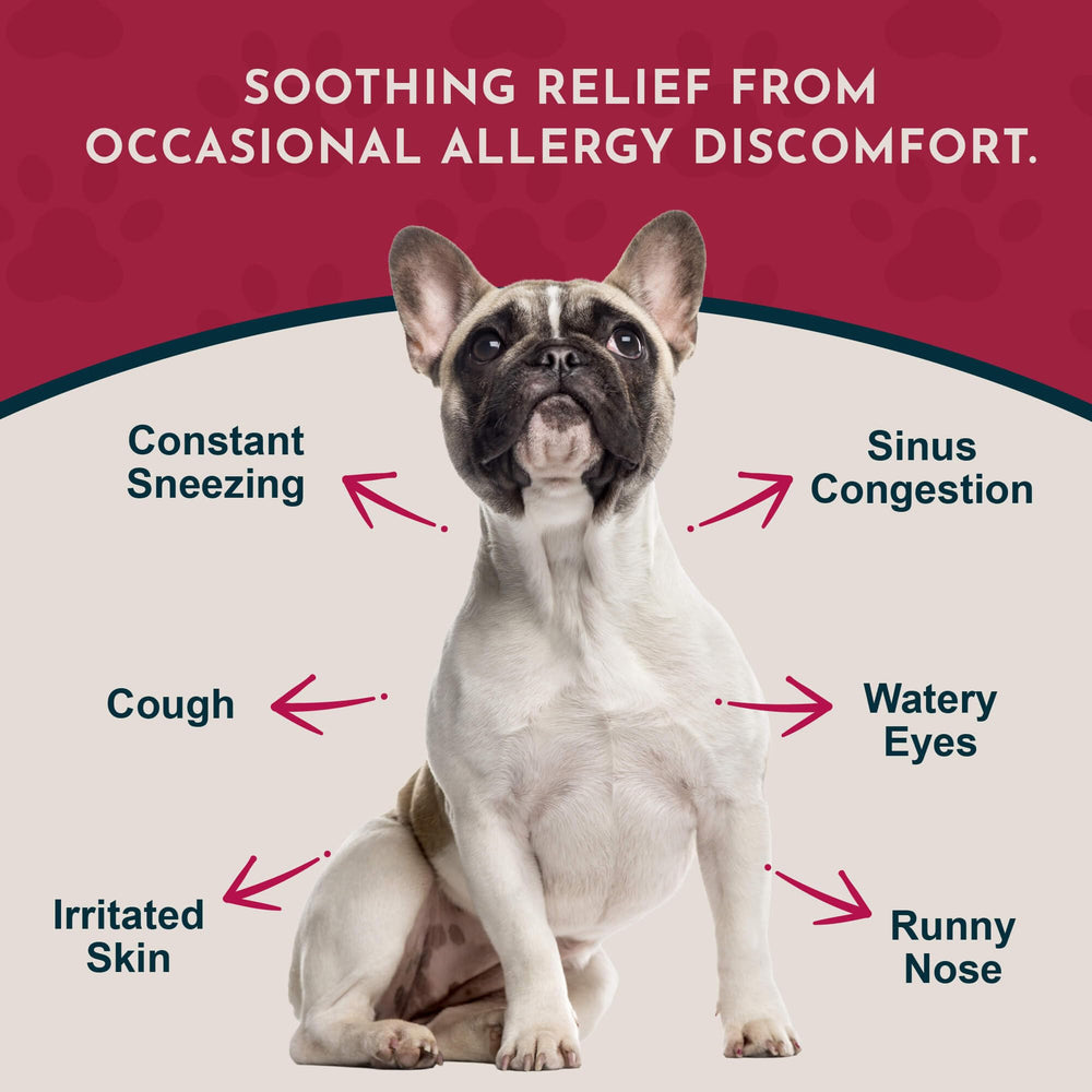 Seasonal Allergy Drops dropper ready for easy dosing for dogs and cats