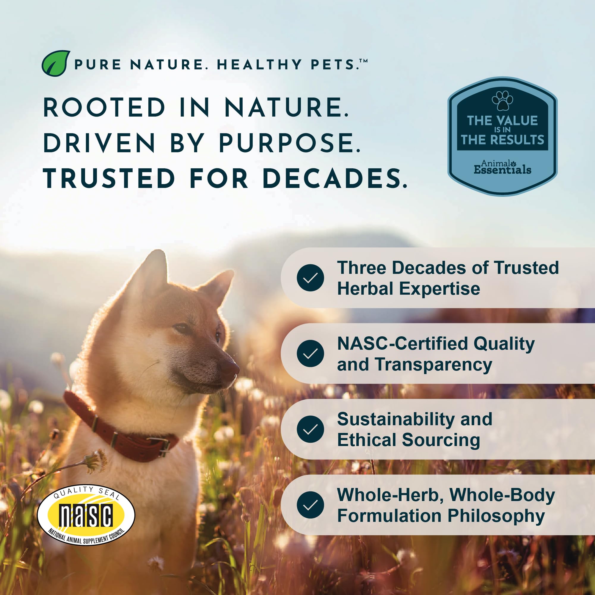 Veterinarian-recommended Animal Essentials Seasonal Allergy Drops image