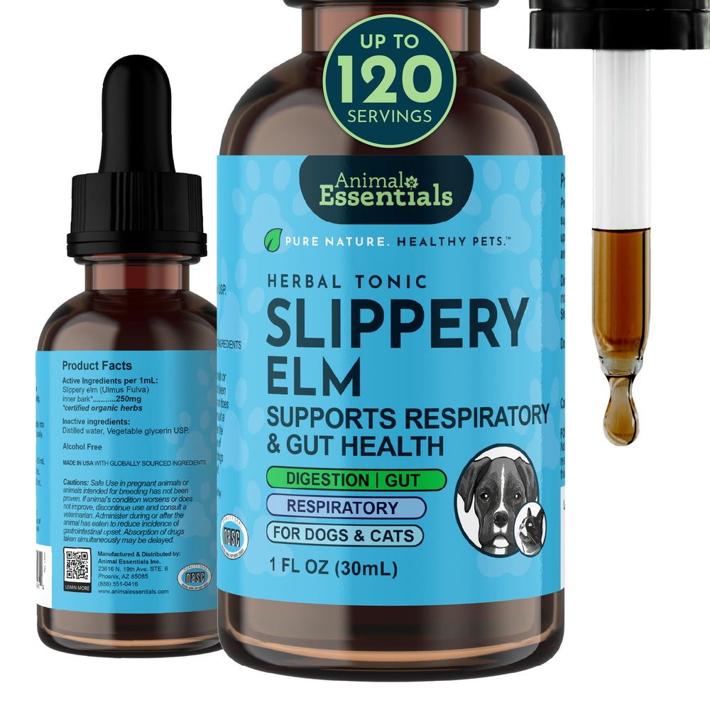 Animal Essentials Slippery Elm bottle with drops for gentle pet gut support