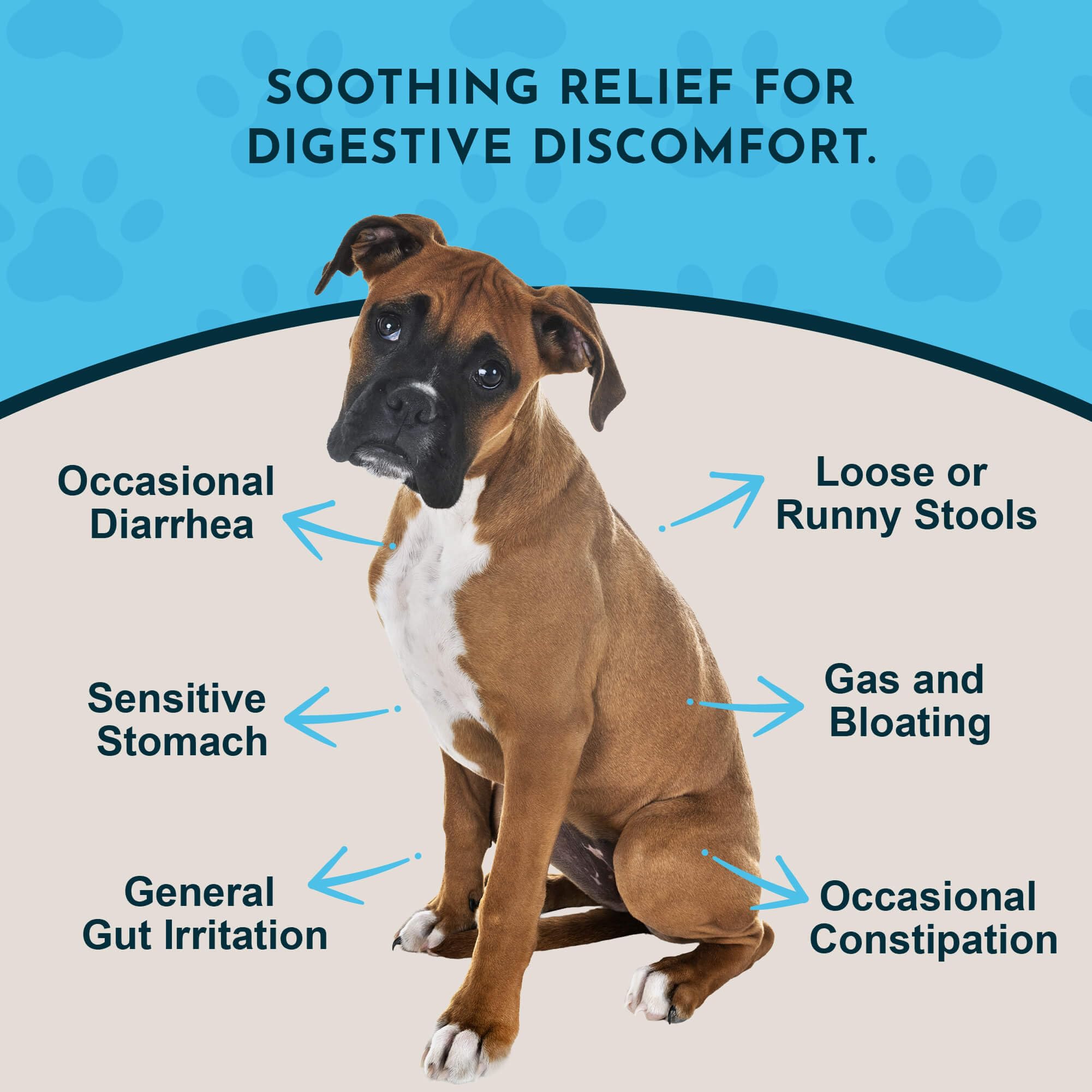 Animal Essentials Slippery Elm drops provide throat comfort and digestive ease in pets