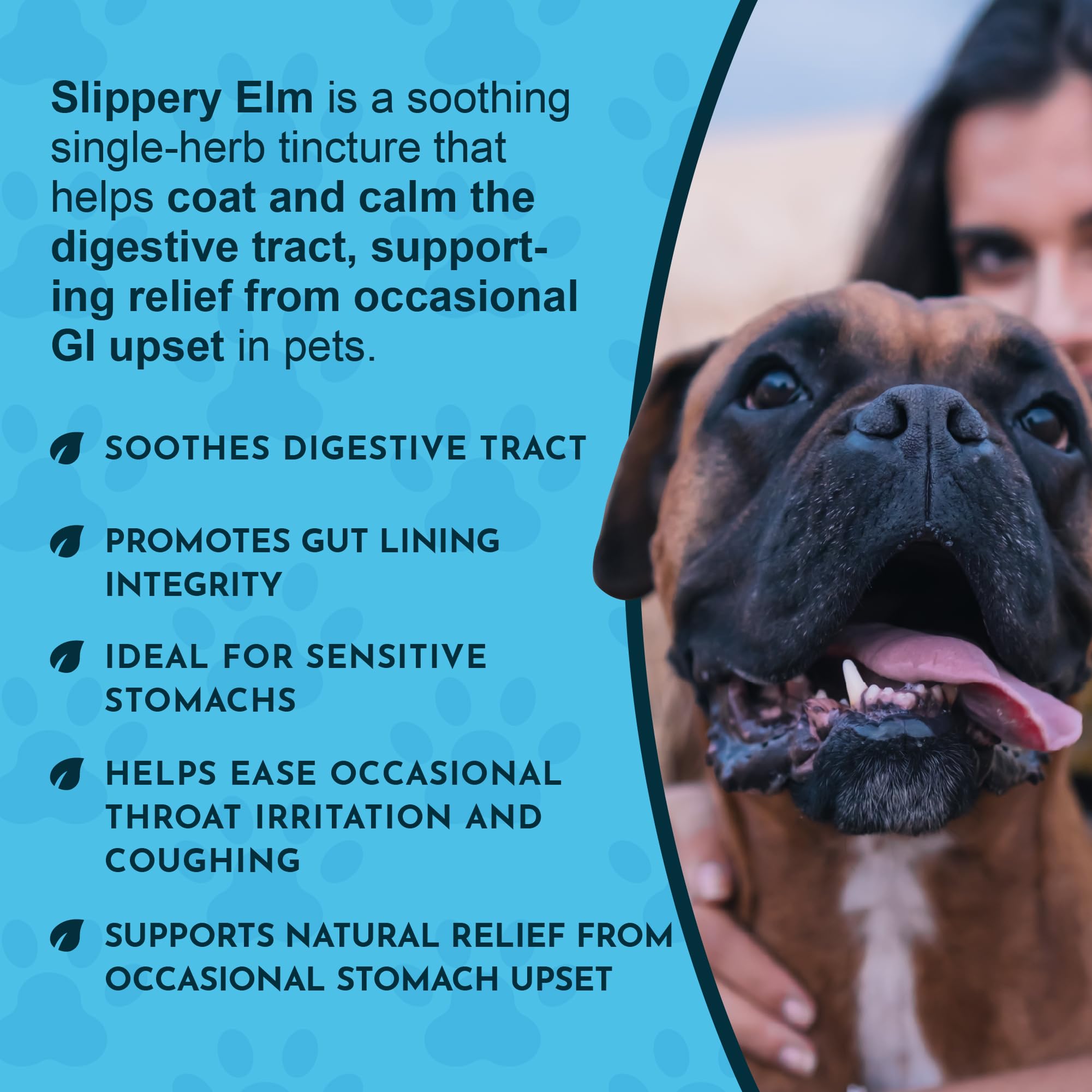 Animal Essentials Slippery Elm drops are veterinarian-recommended for natural digestive support