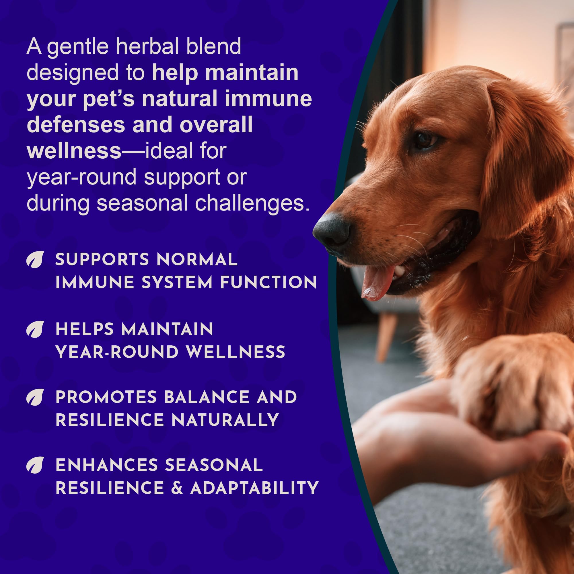 Animal Essentials Super Immune eleuthero ingredient highlight for vitality