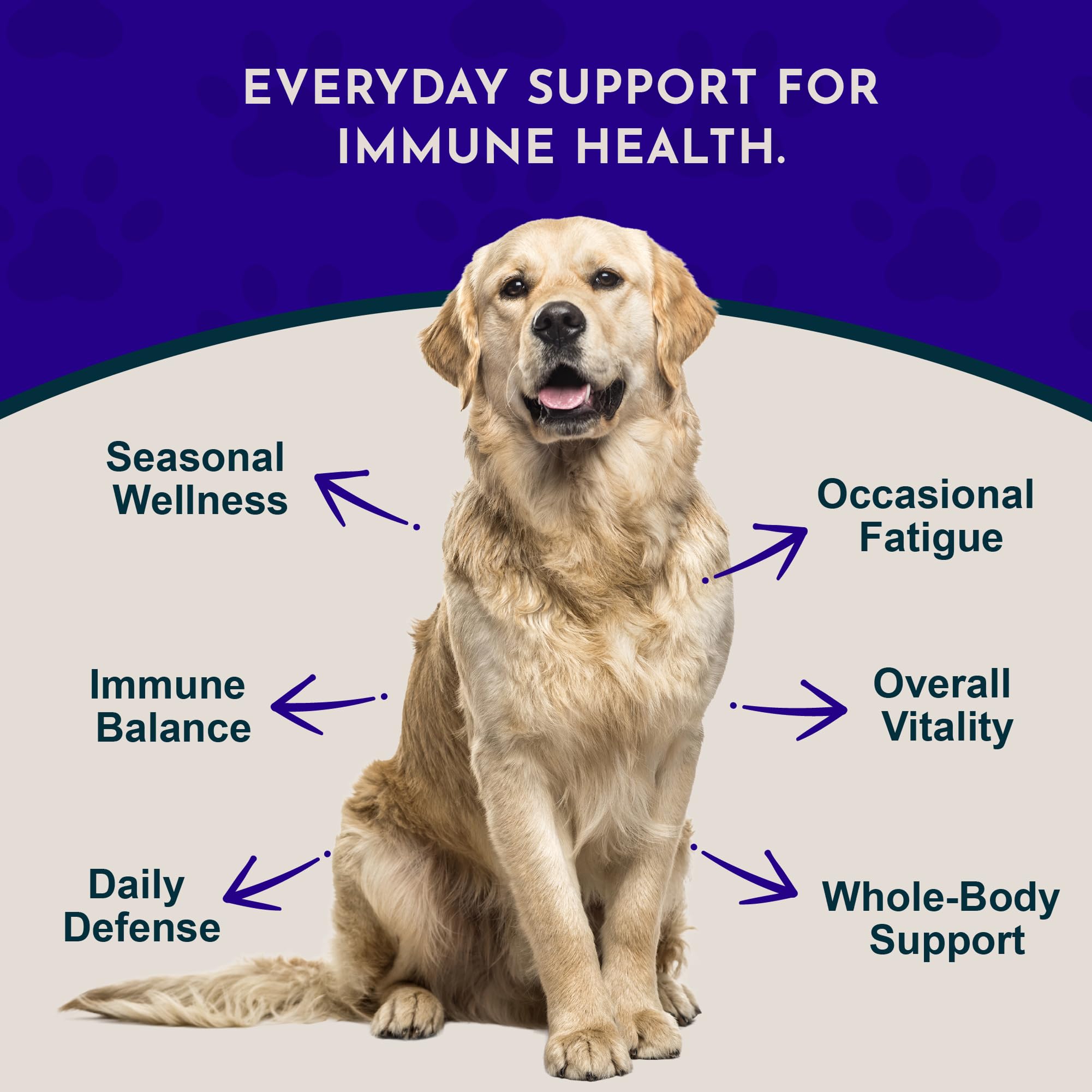 Animal Essentials Super Immune label closeup highlighting natural ingredients