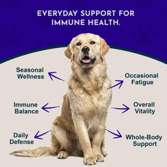 Animal Essentials Super Immune label closeup highlighting natural ingredients