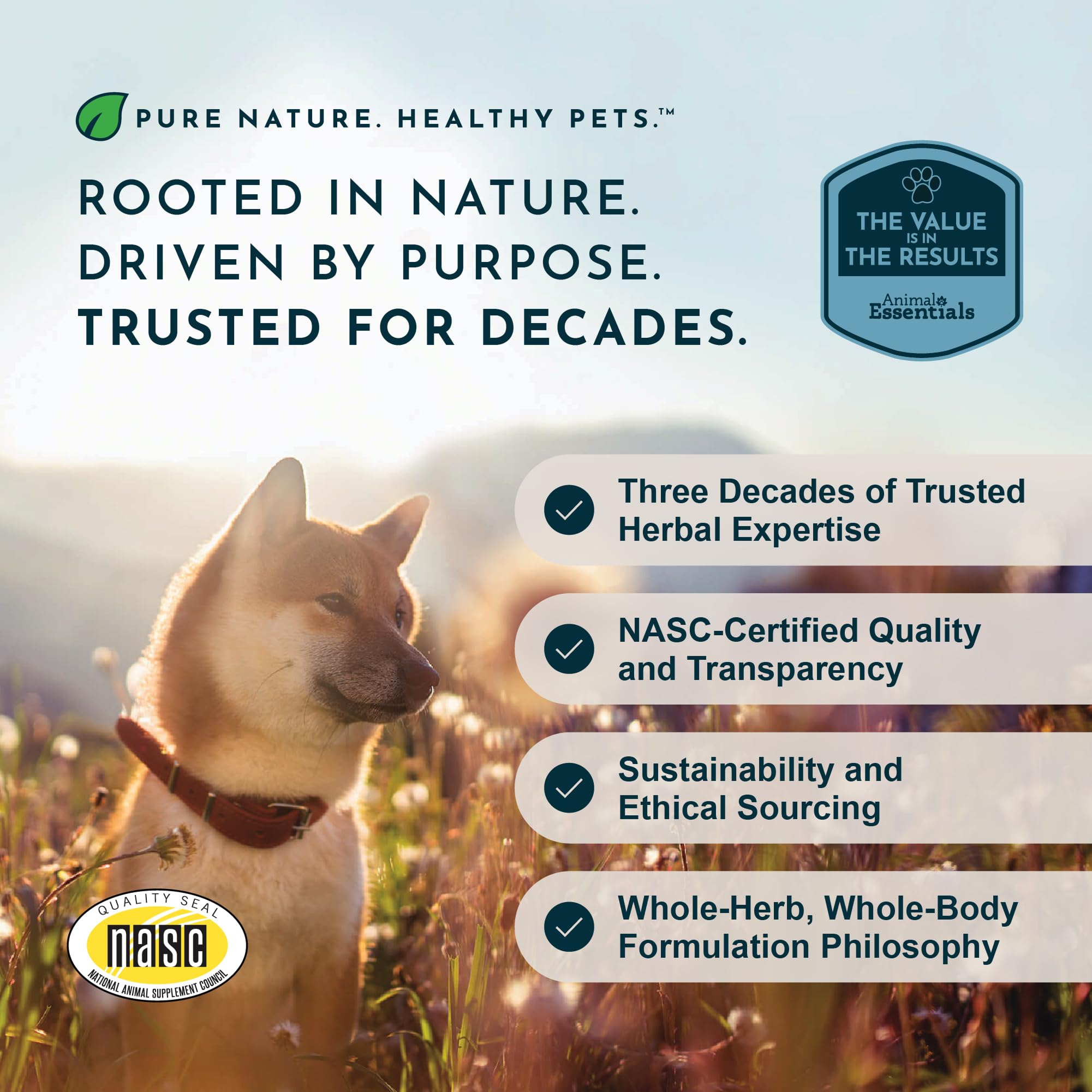 Animal Essentials Tinkle Tonic for dogs and cats supporting urinary balance
