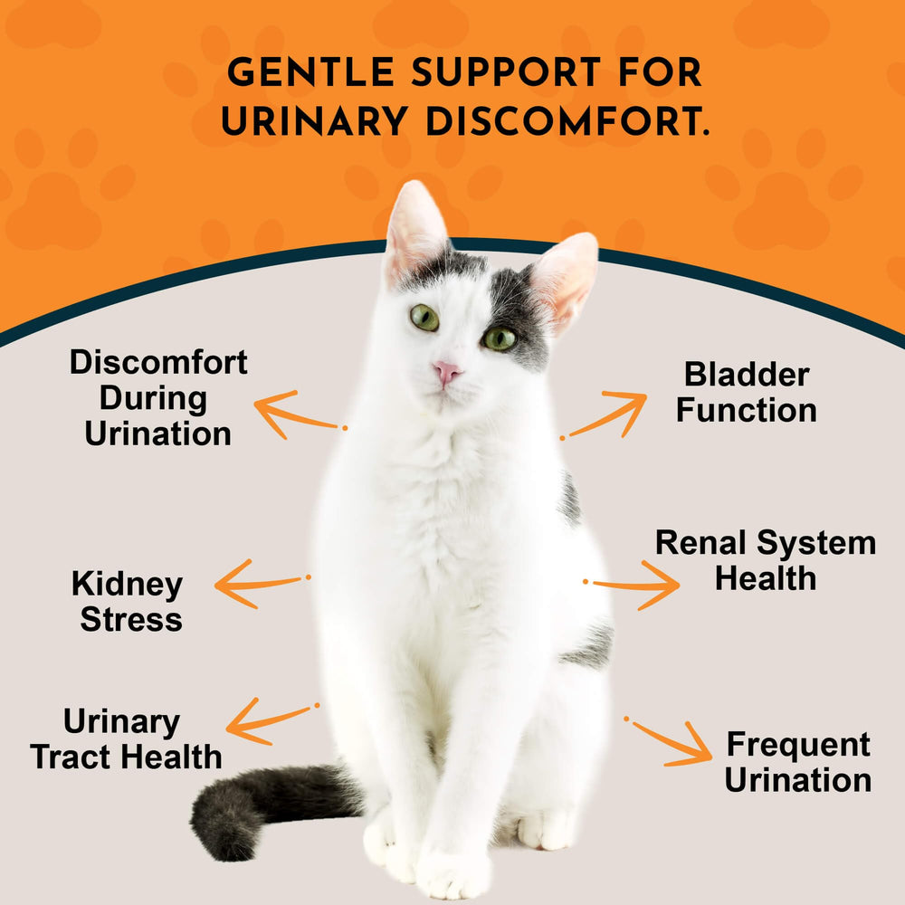 Tinkle Tonic dropper demonstrates dosing ease for pets' urinary balance