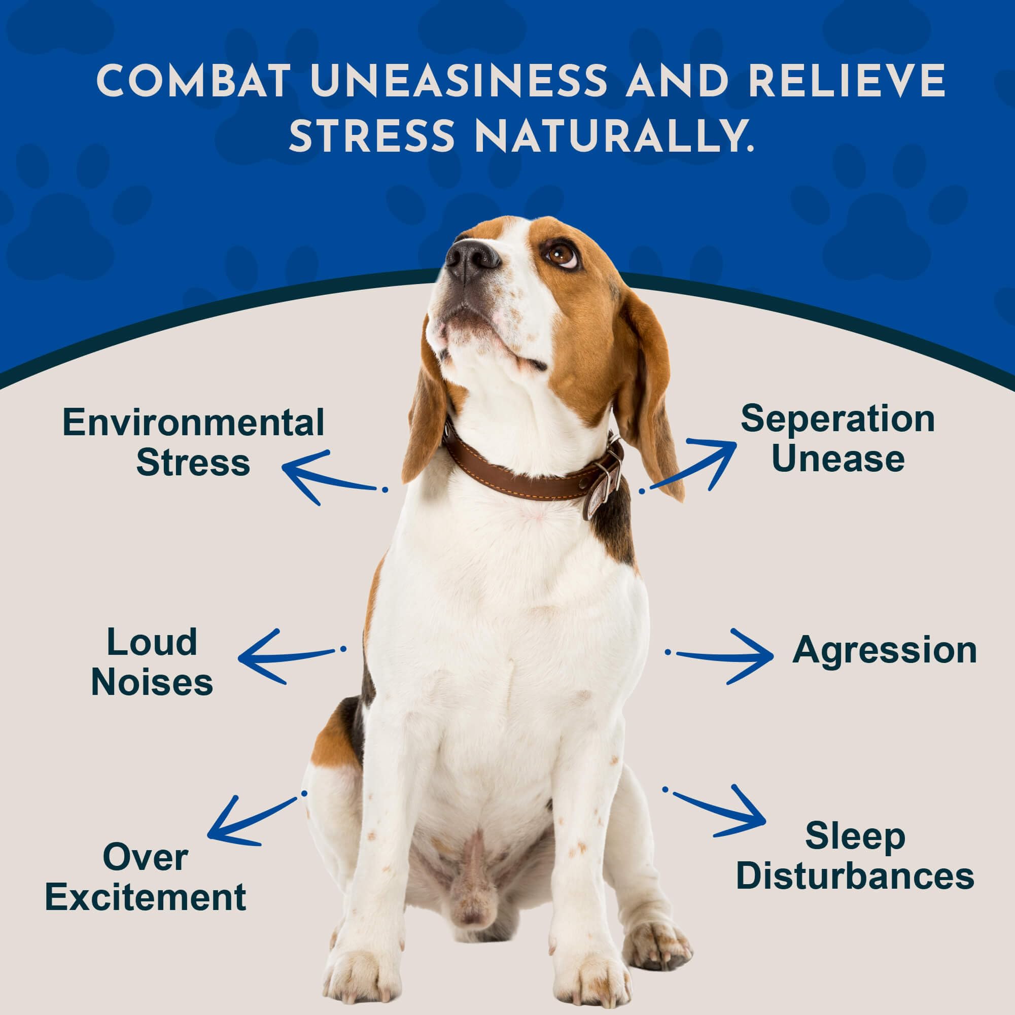 Close-up of Animal Essentials Tranquility Blend dropper for precise dosing