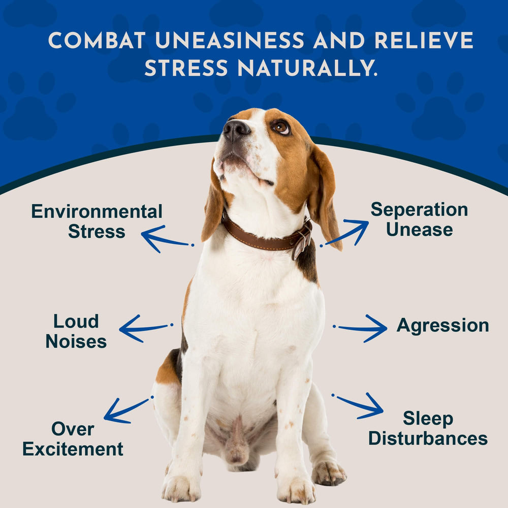 Close-up of Animal Essentials Tranquility Blend dropper for precise dosing