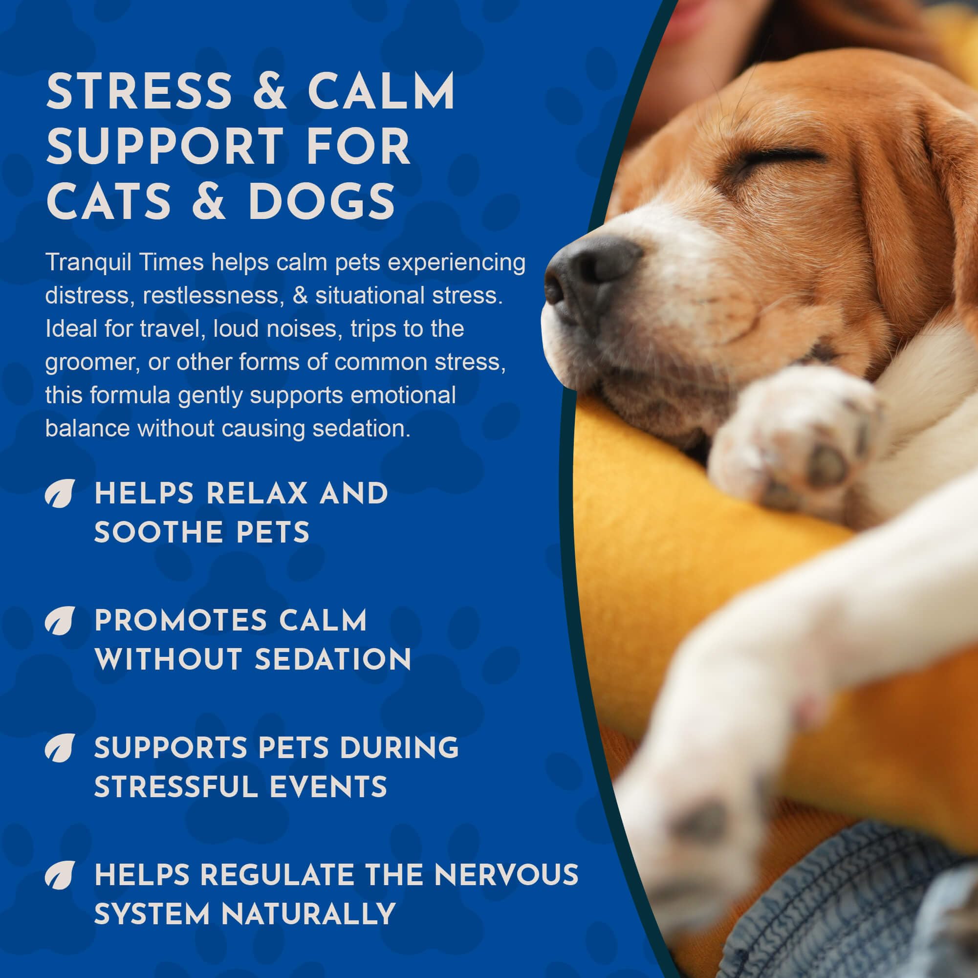 Pet calm during storms thanks to Animal Essentials Tranquility Blend