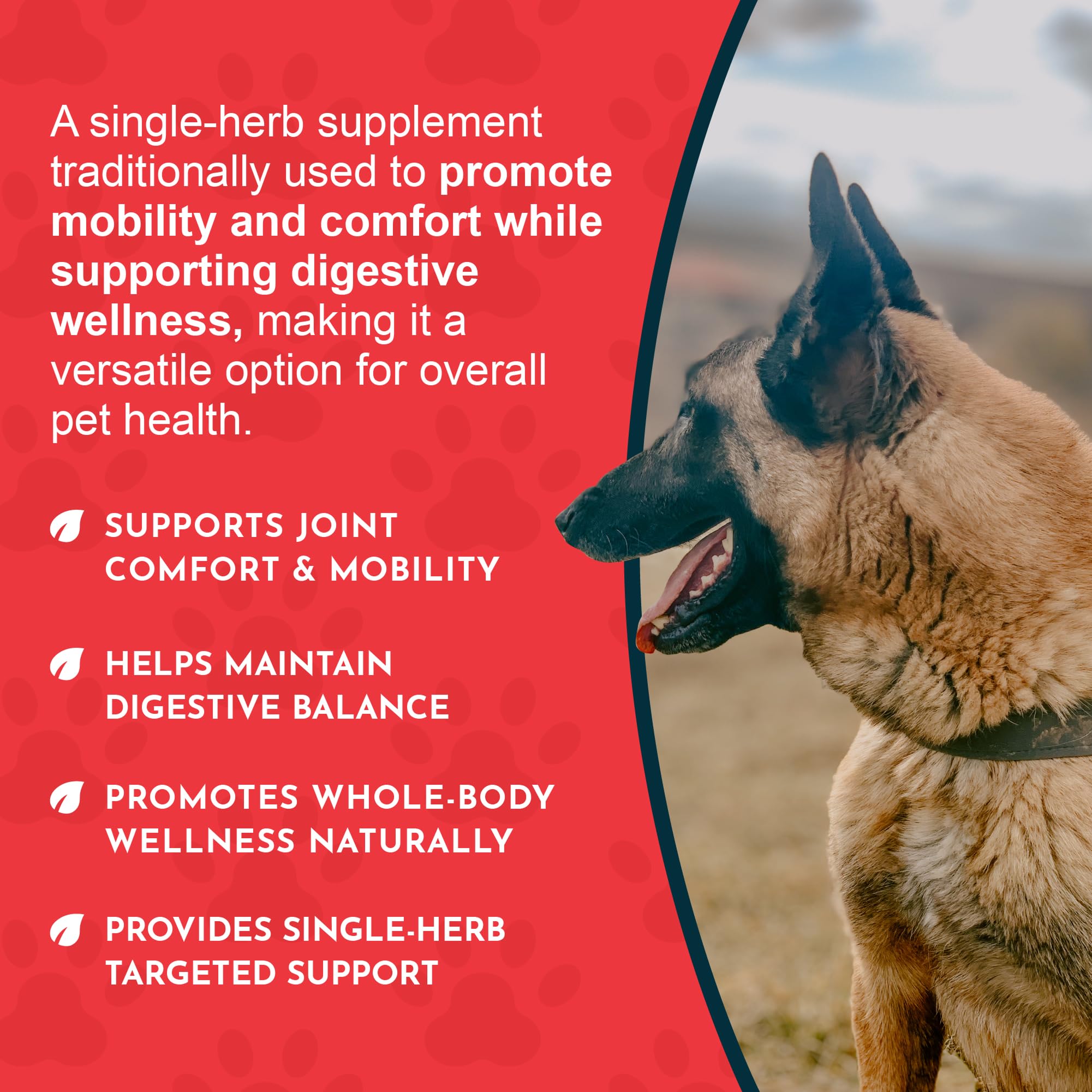 Animal Essentials Yucca Root Drops certified organic yucca for natural care.