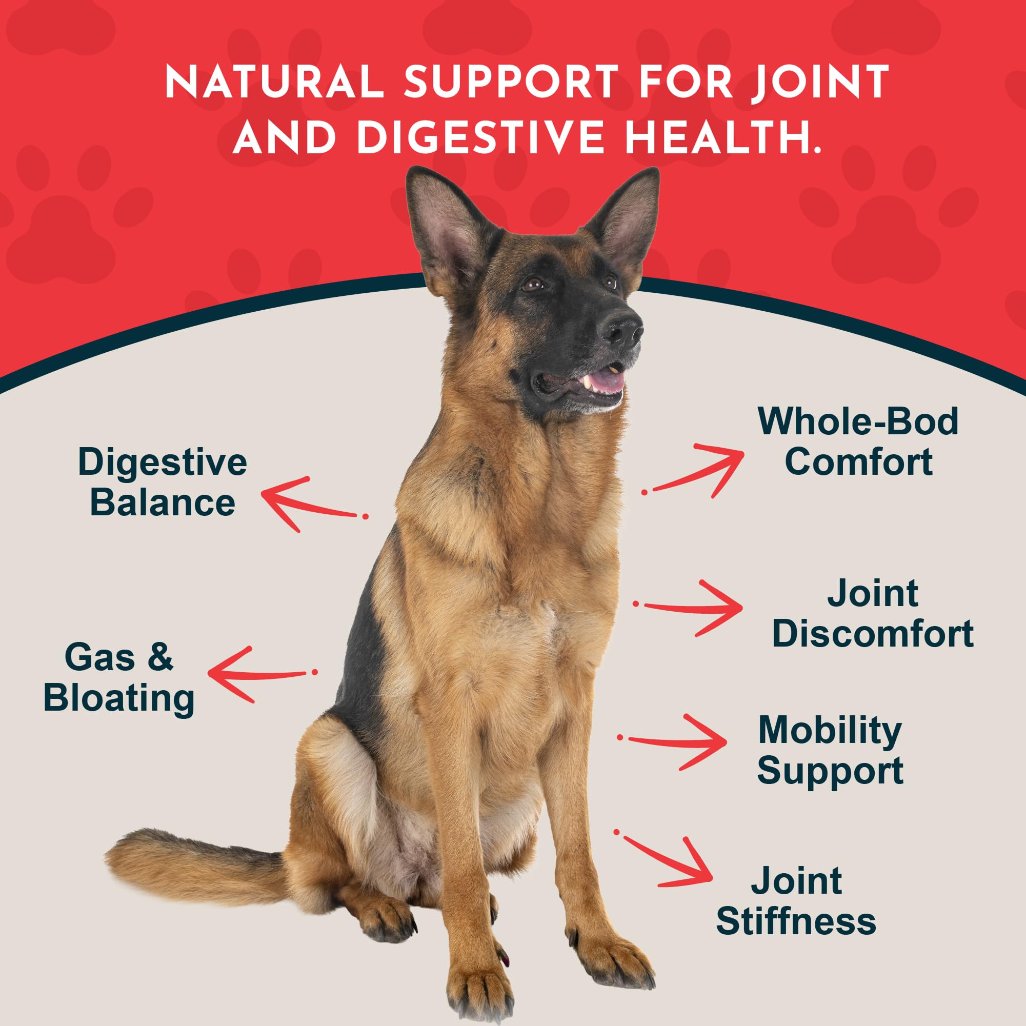 Animal Essentials Yucca Root Drops ingredients highlight organic yucca root.