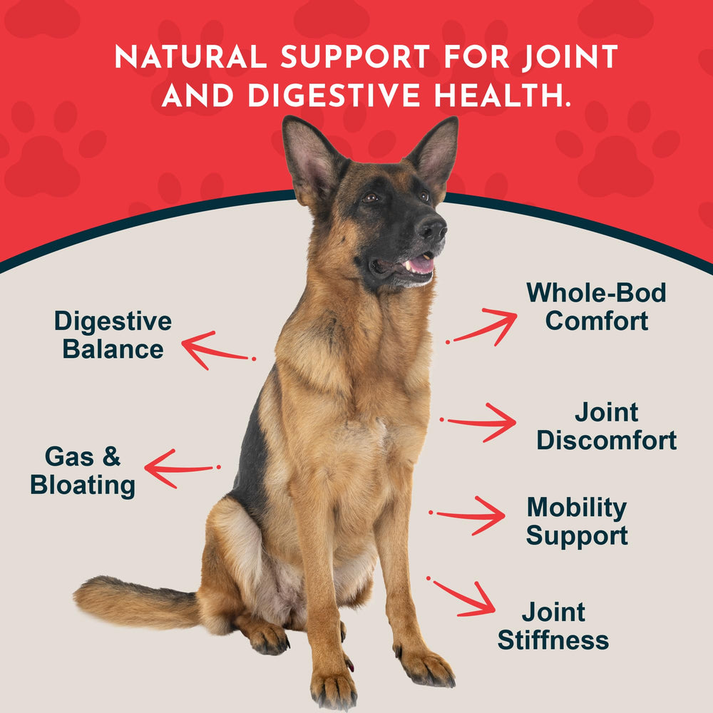 Animal Essentials Yucca Root Drops ingredients highlight organic yucca root.