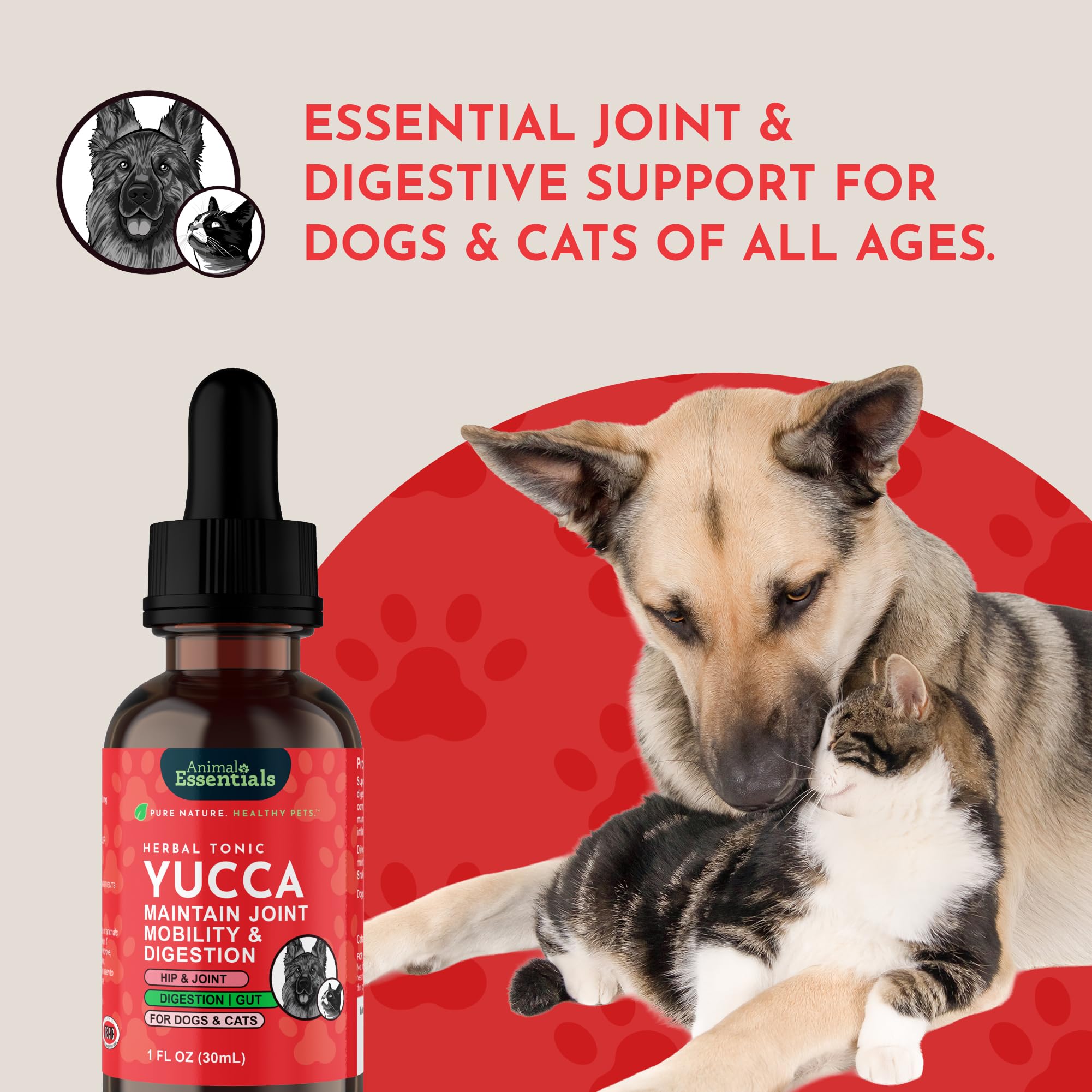 Animal Essentials Yucca Root Drops immune-support for aging pets.