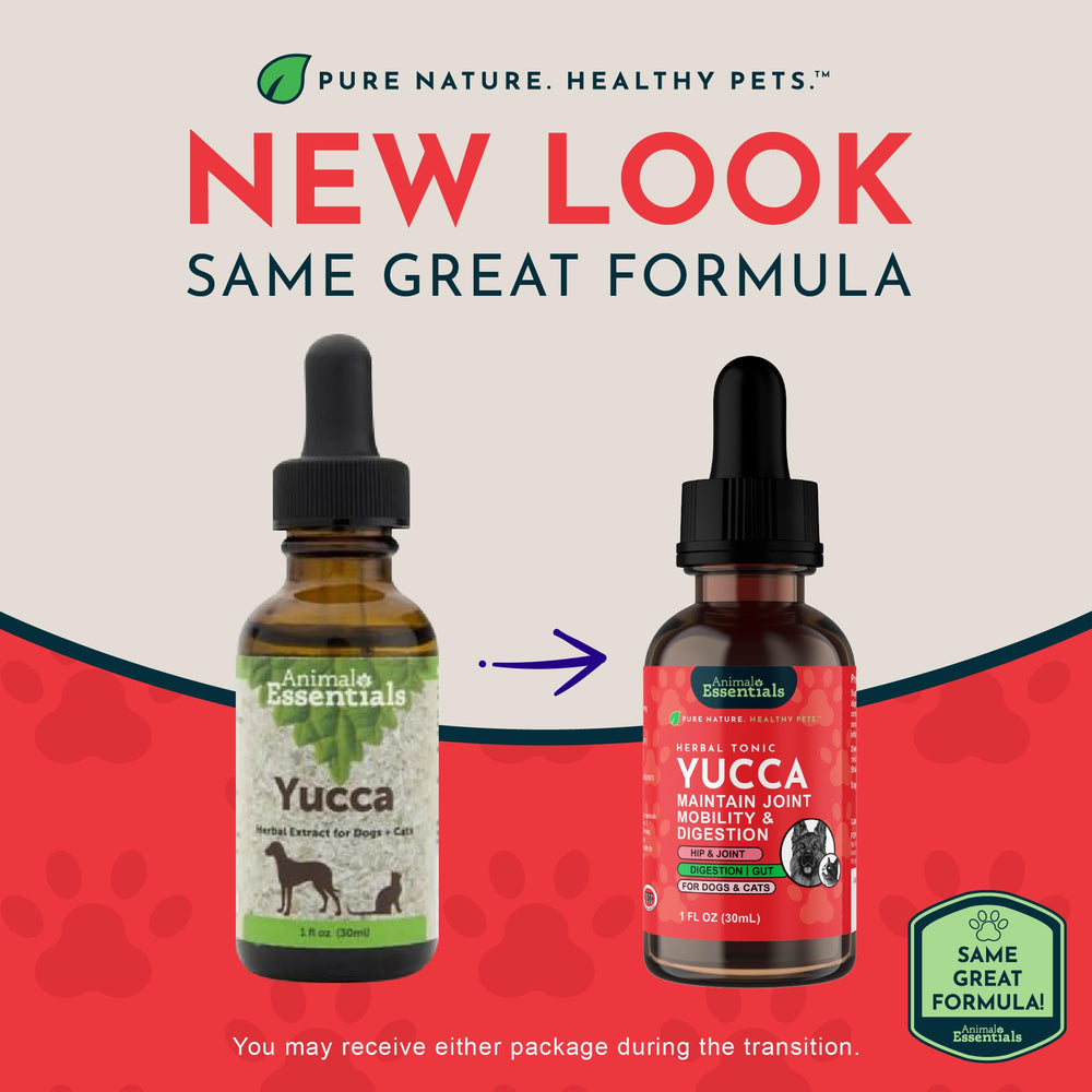 Animal Essentials Yucca Root Drops dropper showing precise administration.