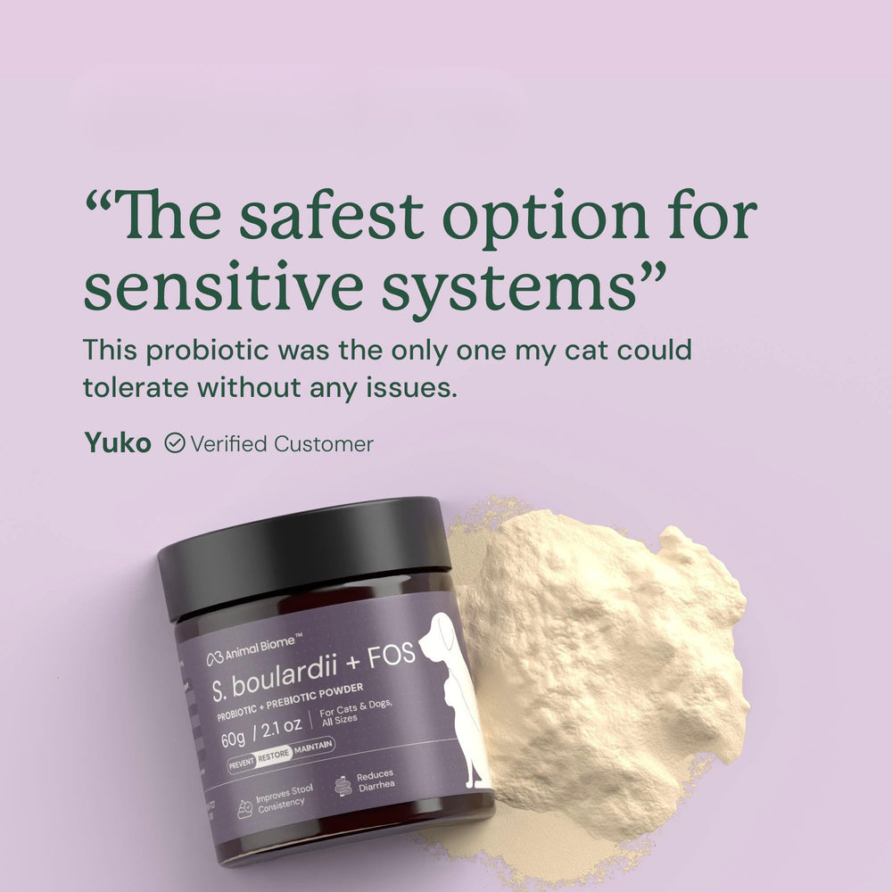 FOS prebiotic granules close-up supporting diverse gut bacteria