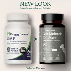 AnimalBiome dog gut health bottle displayed with capsules, ideal for daily digestive support.