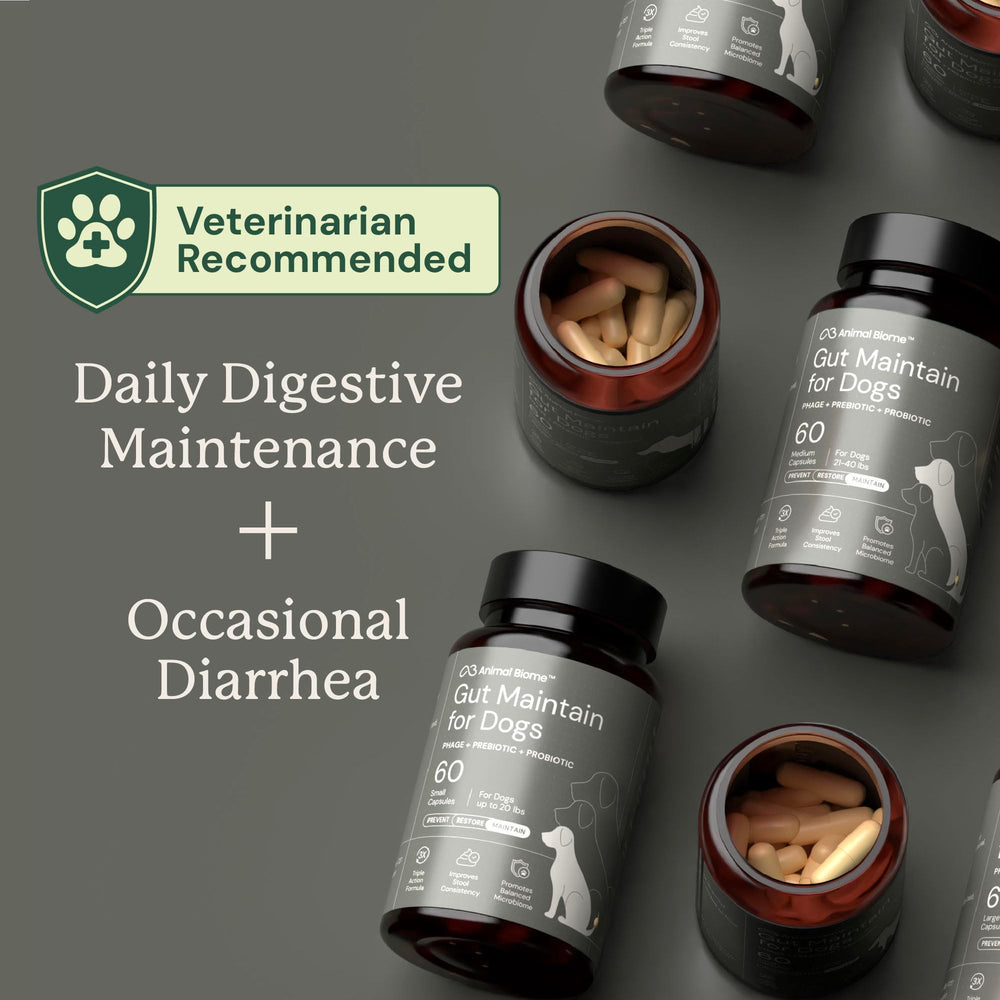 AnimalBiome dog enjoying meals as capsules are opened and mixed with food.