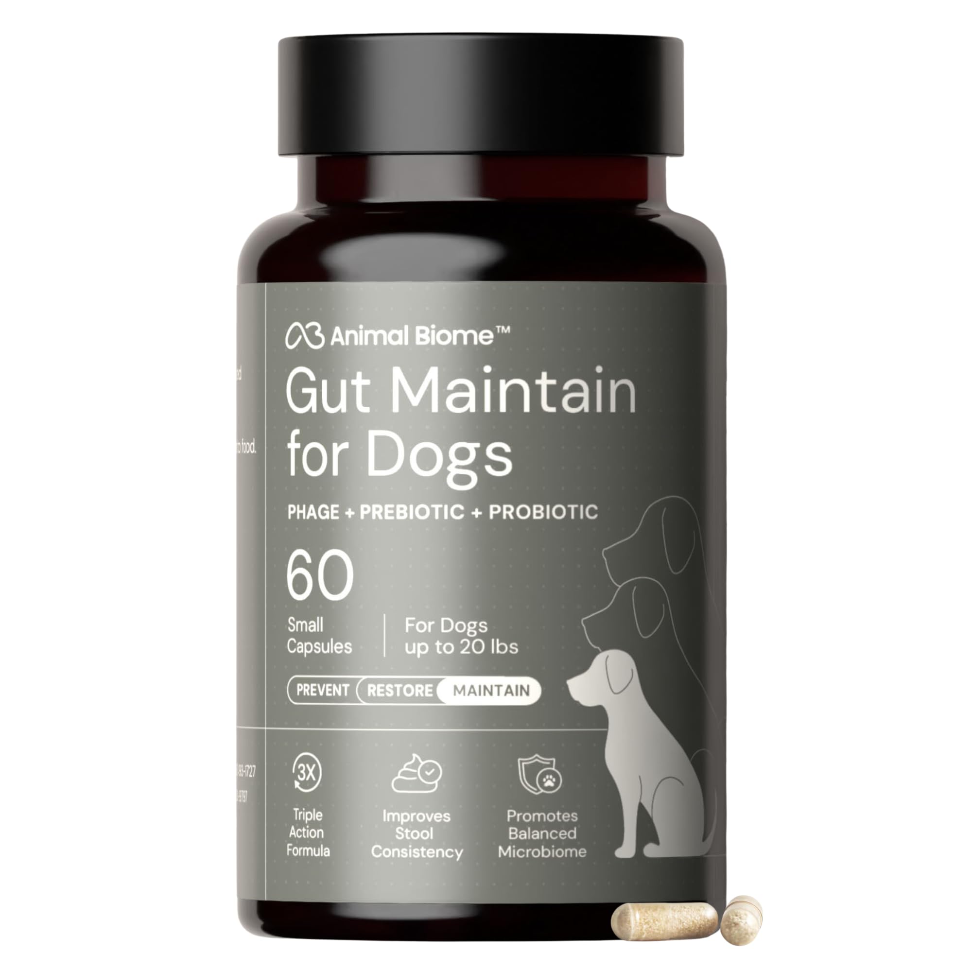 AnimalBiome dog probiotics bottle pour supports gut balance and daily digestion.