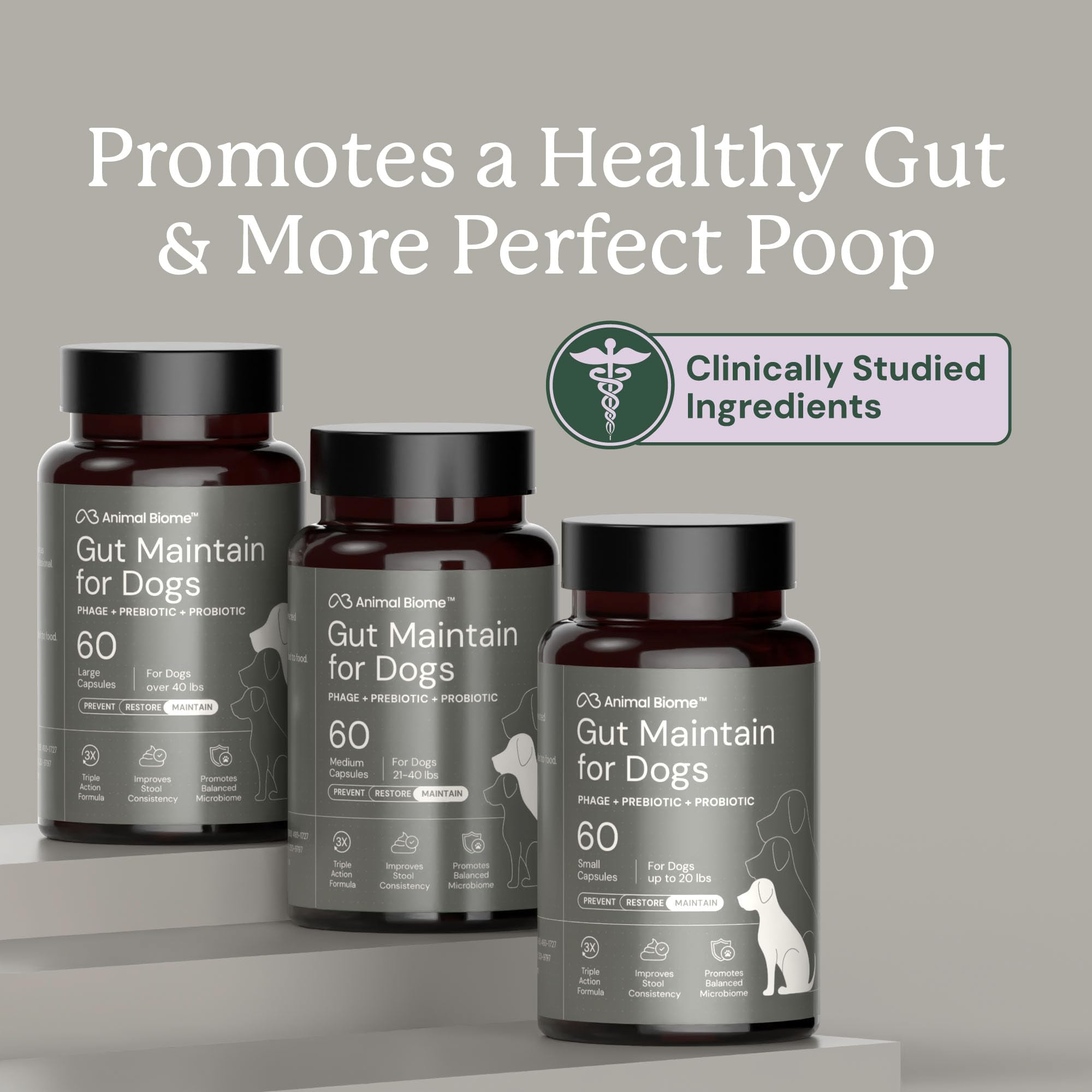 AnimalBiome dog probiotics use dogs captures feeding time and routine support.