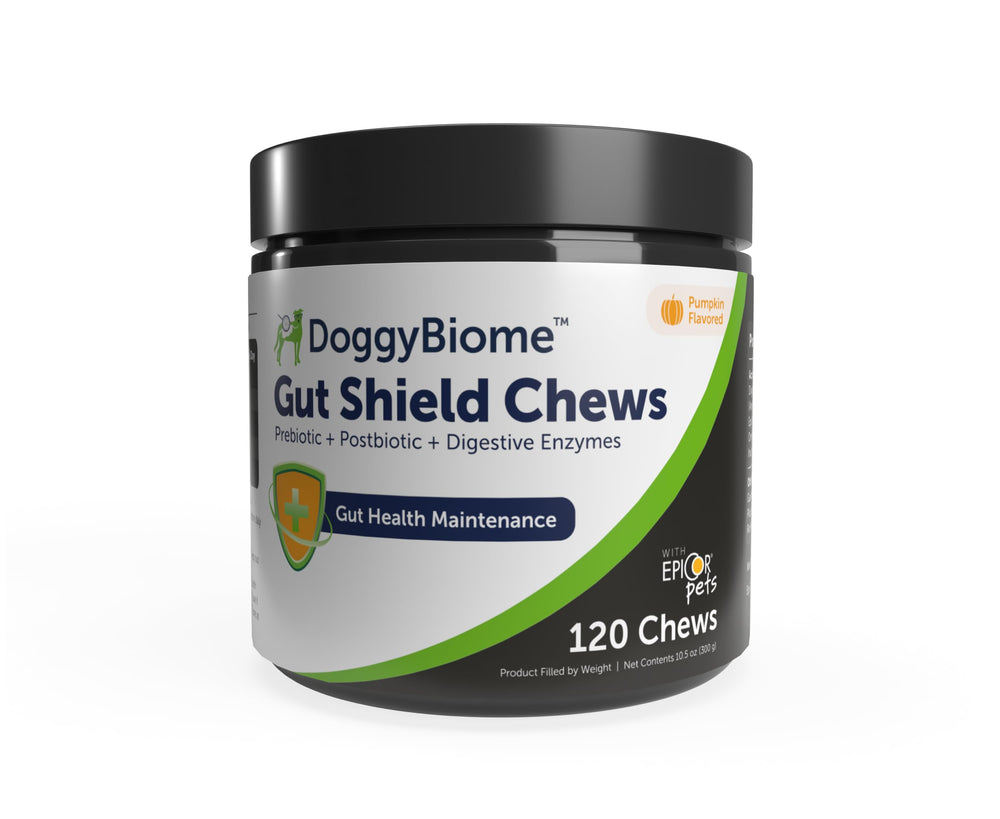 AnimalBiome Gut Shield Soft Chews pumpkin flavor for daily digestive balance.