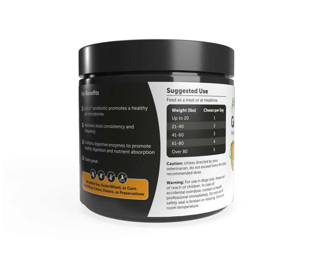 AnimalBiome Gut Shield Soft Chews served on paw; convenient treat for dogs and cats.