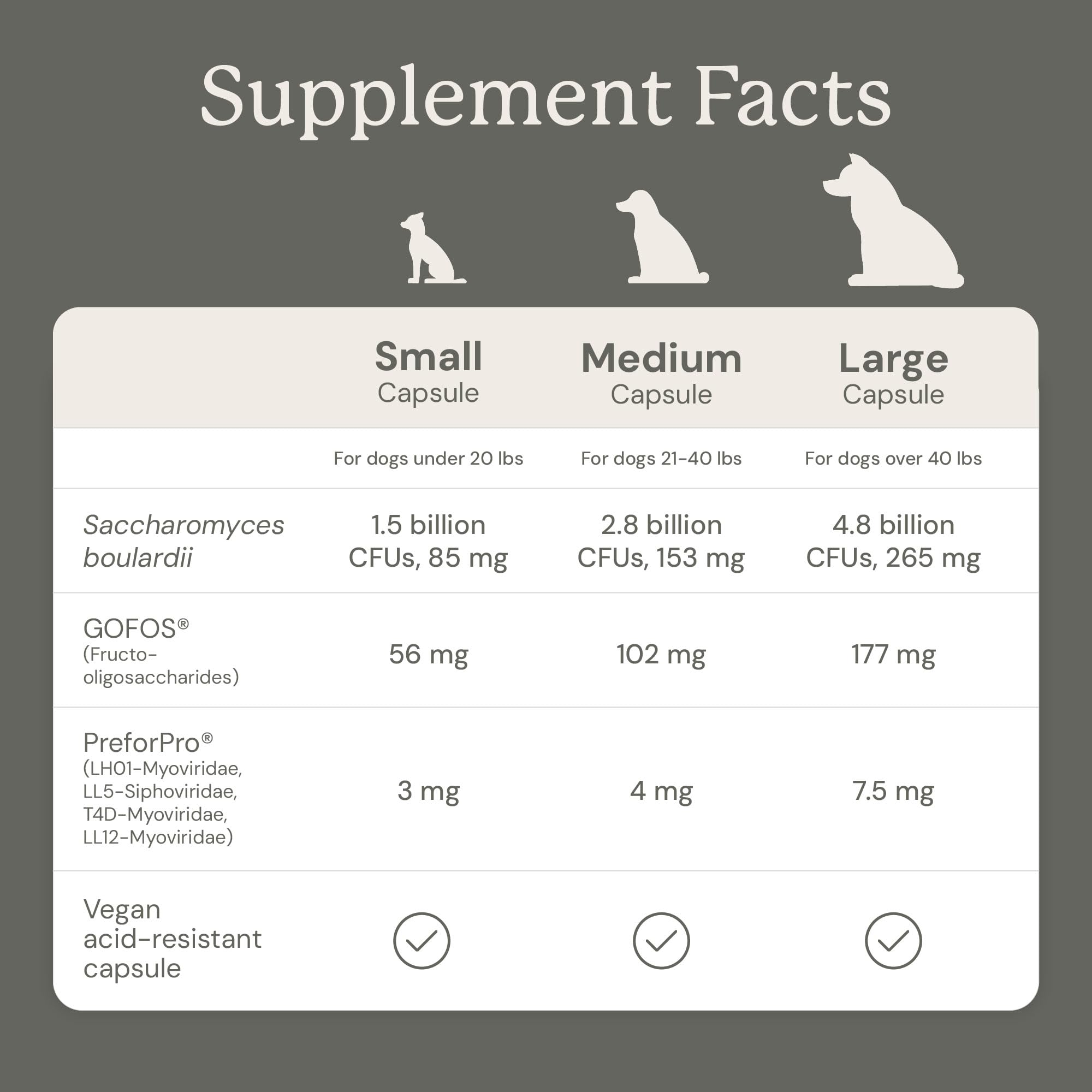 AnimalBiome Capsule close-up showing dog probiotic daily dose for gut balance.