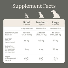 AnimalBiome Capsule close-up showing dog probiotic daily dose for gut balance.