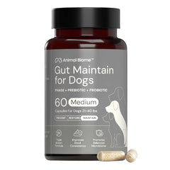 AnimalBiome Probiotics for Dogs with S. boulardii capsules on a bottle, supporting gut health.