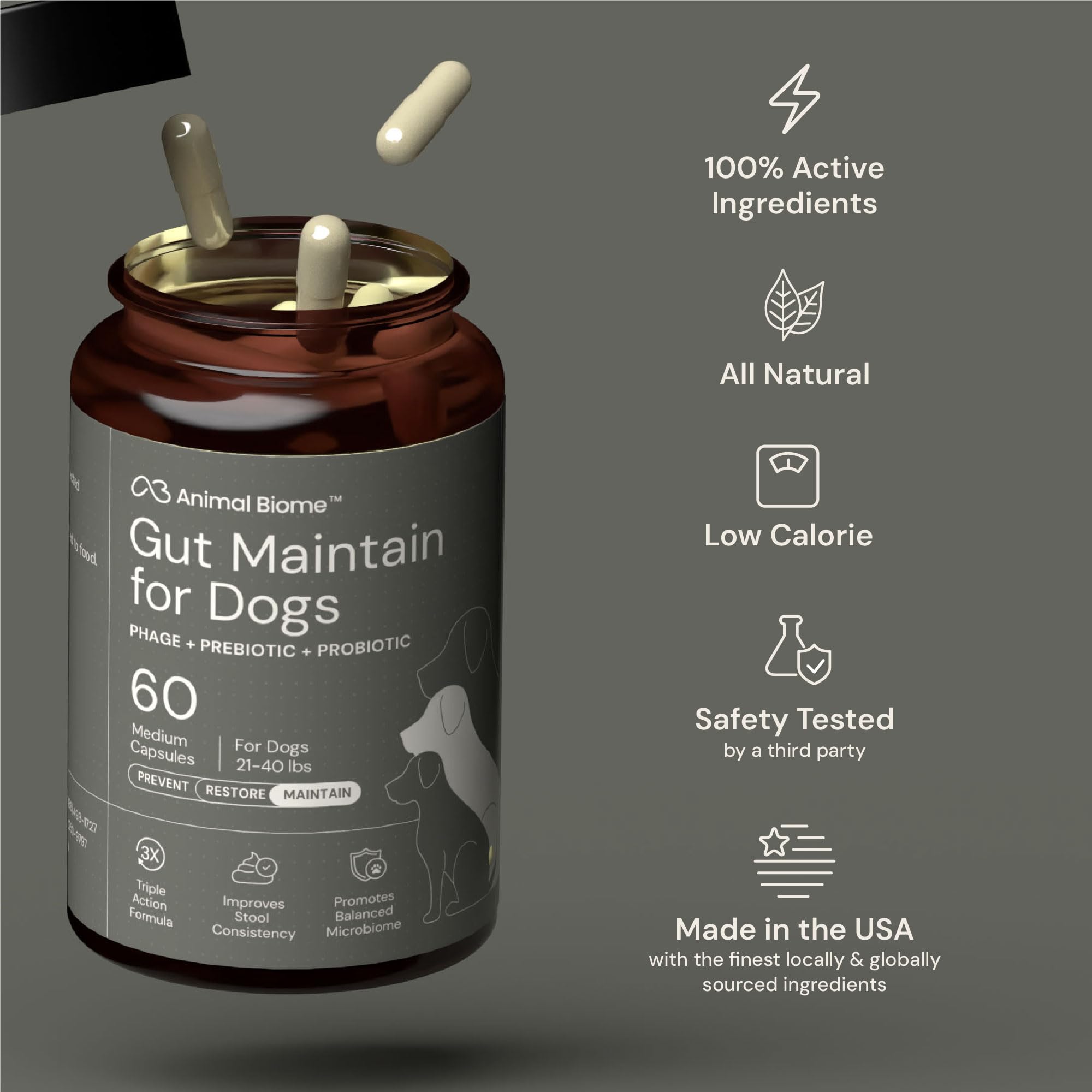AnimalBiome probiotics prebiotics dogs visual emphasizes digestive support ingredients.