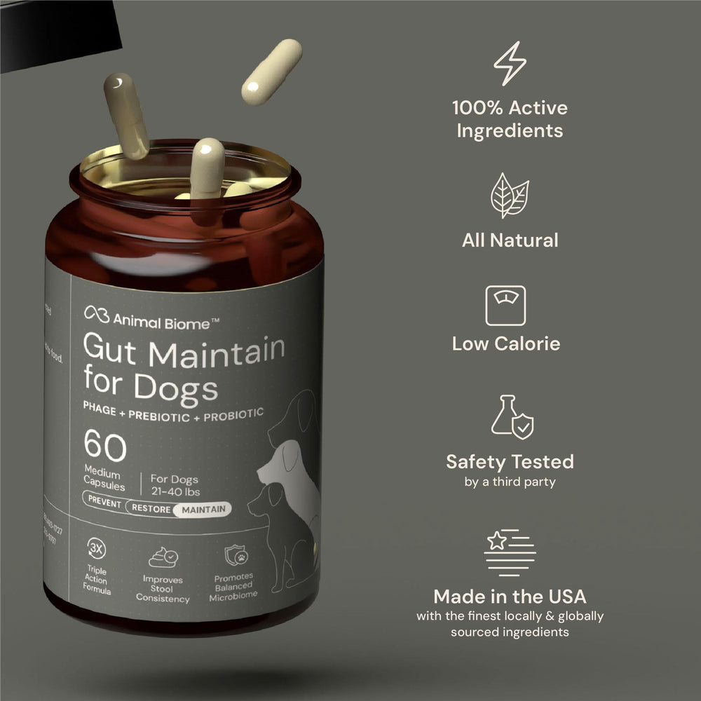 AnimalBiome probiotics prebiotics dogs visual emphasizes digestive support ingredients.