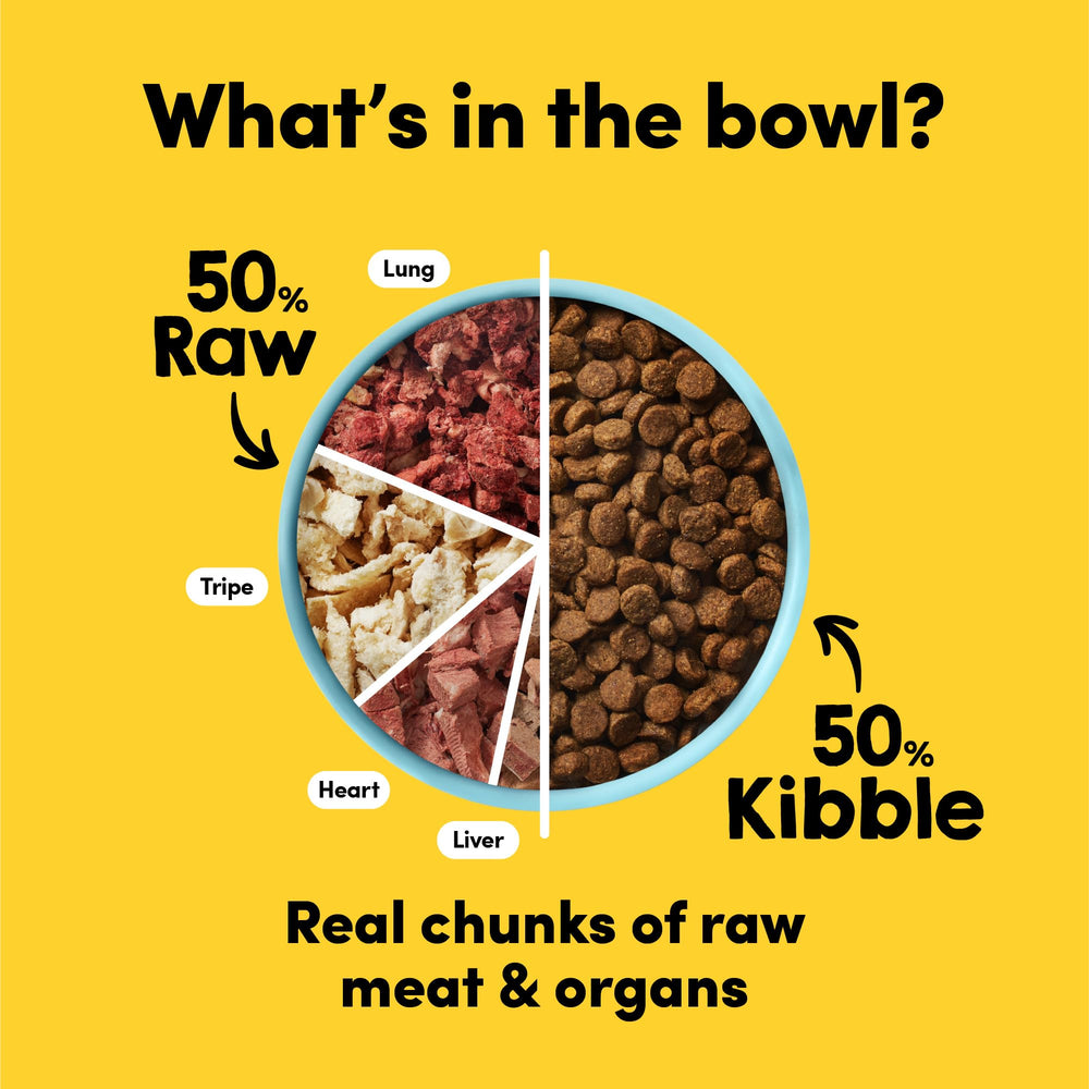 Animals Like Us RawMix50 serving in a bowl demonstrates convenient, complete meal texture.