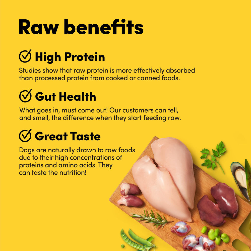 Animals Like Us RawMix50-meat-bites-bowl: high-protein bites create a satisfying texture in every serving.