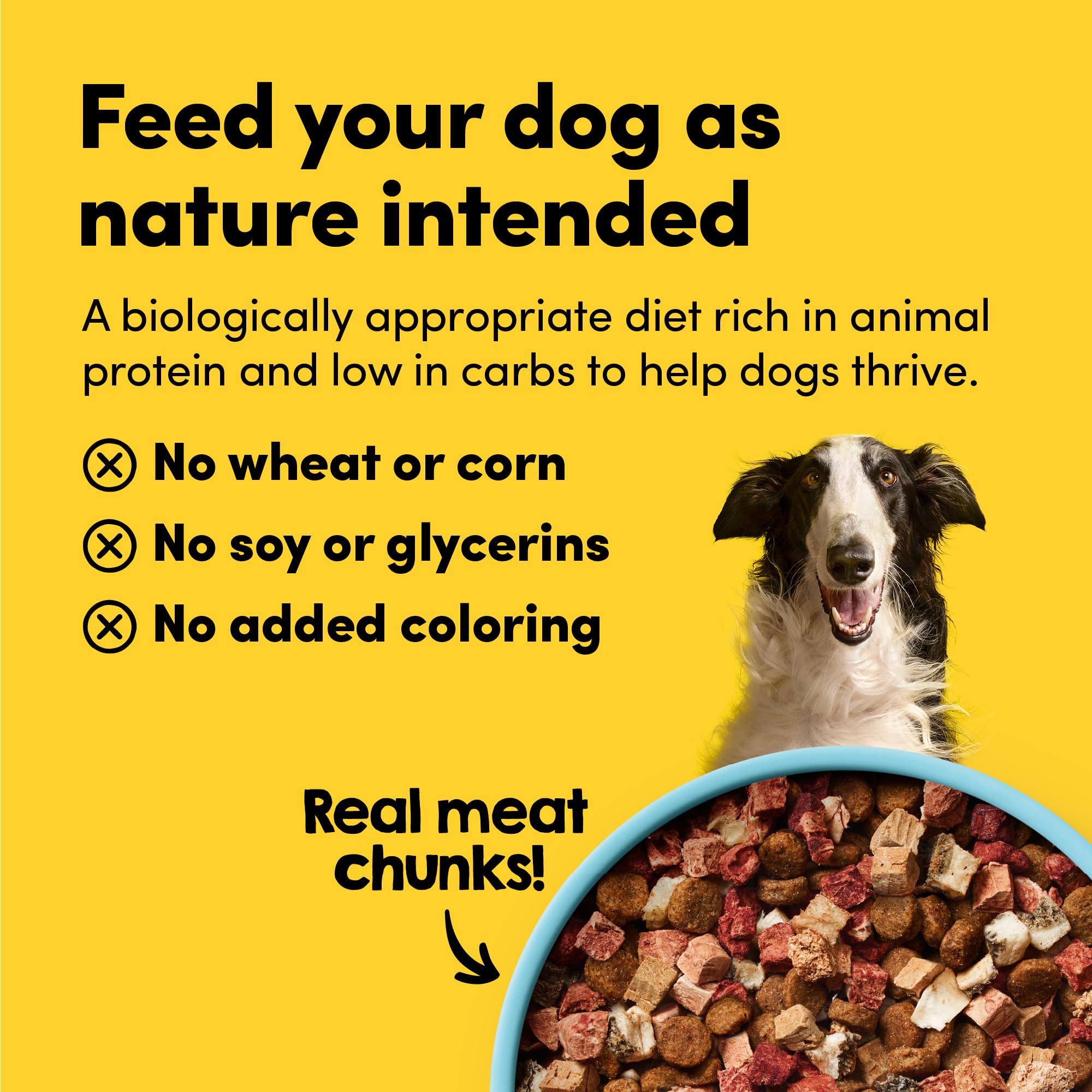Animals Like Us RawMix50 meat bites image showcases high-protein bites for a satisfying meal