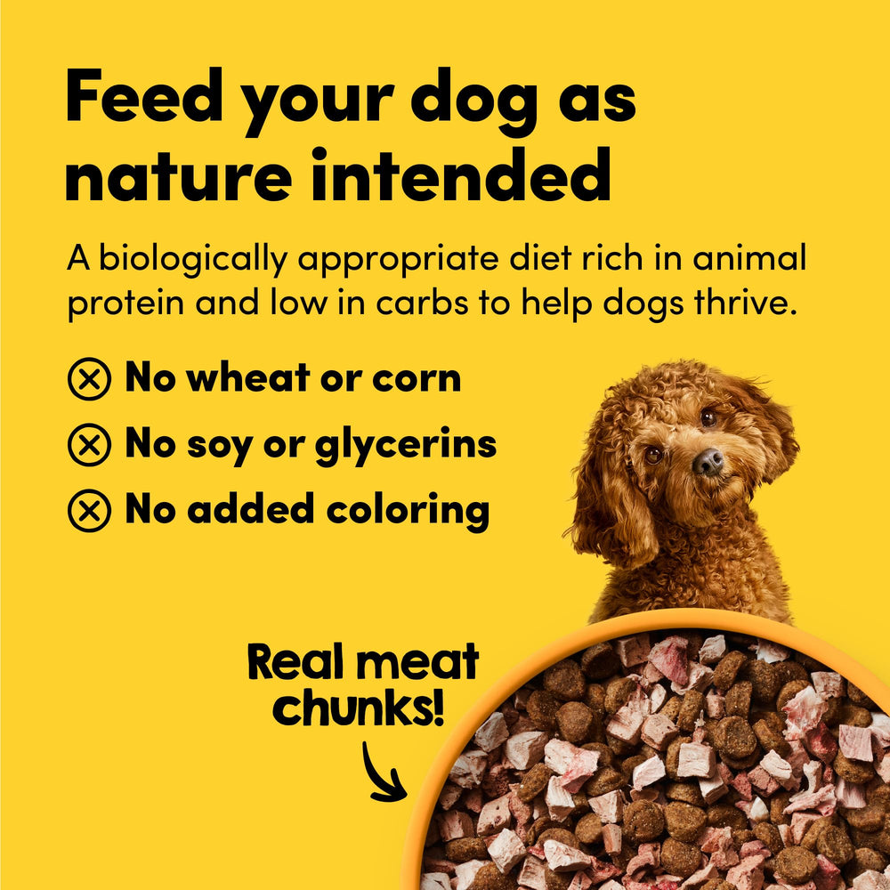Animals Like Us RawMix50-visual-variety-pieces: colorful freeze-dried chunks foster an exciting bowl experience.