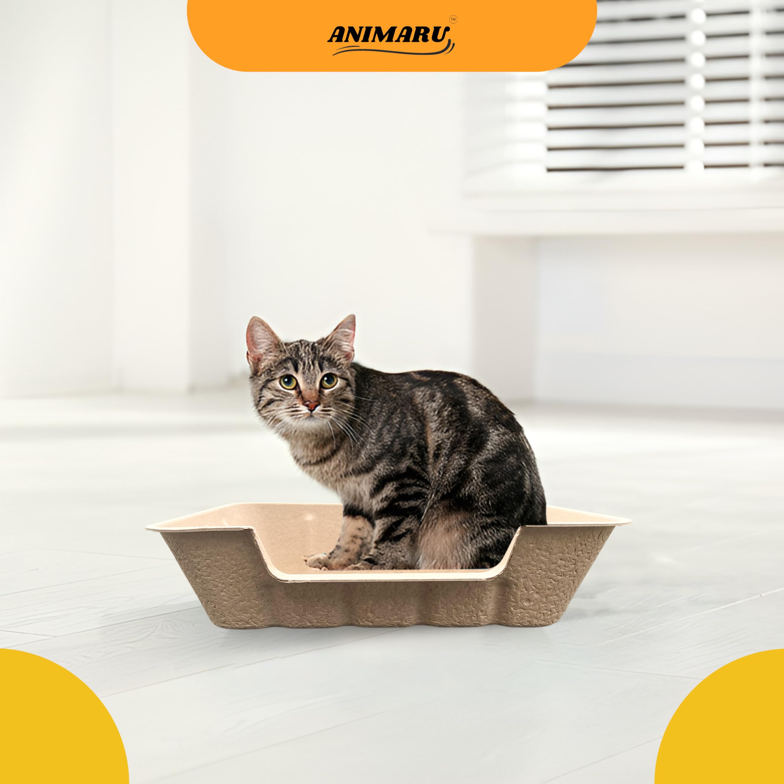 Animaru easy disposal emphasizes compostable, mess-free experience.