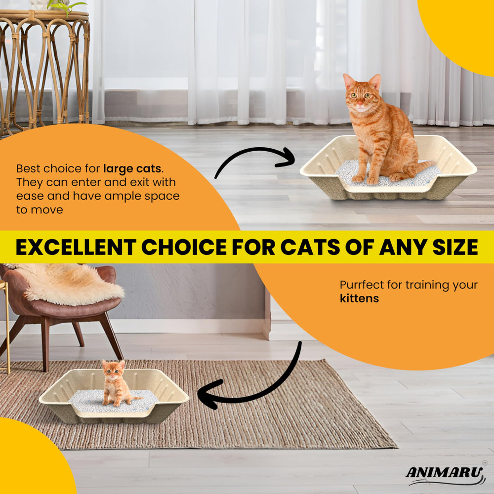 Animaru boxes can be used as standalone or liner for added versatility.