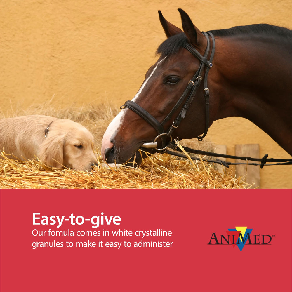 ANIMED Pure MSM granules closeup: odorless formula ideal for long-term use.