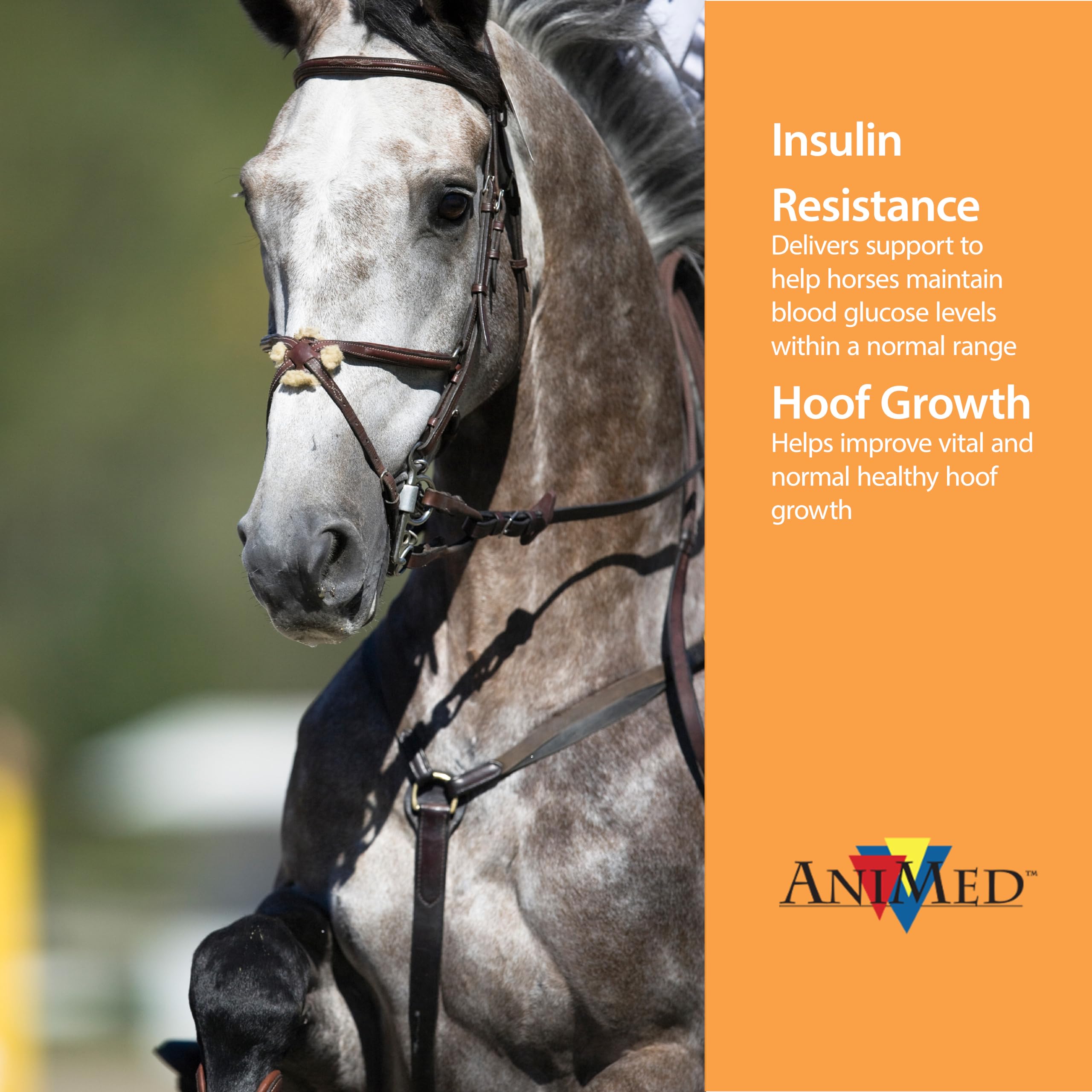 ANIMED Remission hoof health focus with biotin and nutrients for healthy hoof growth.