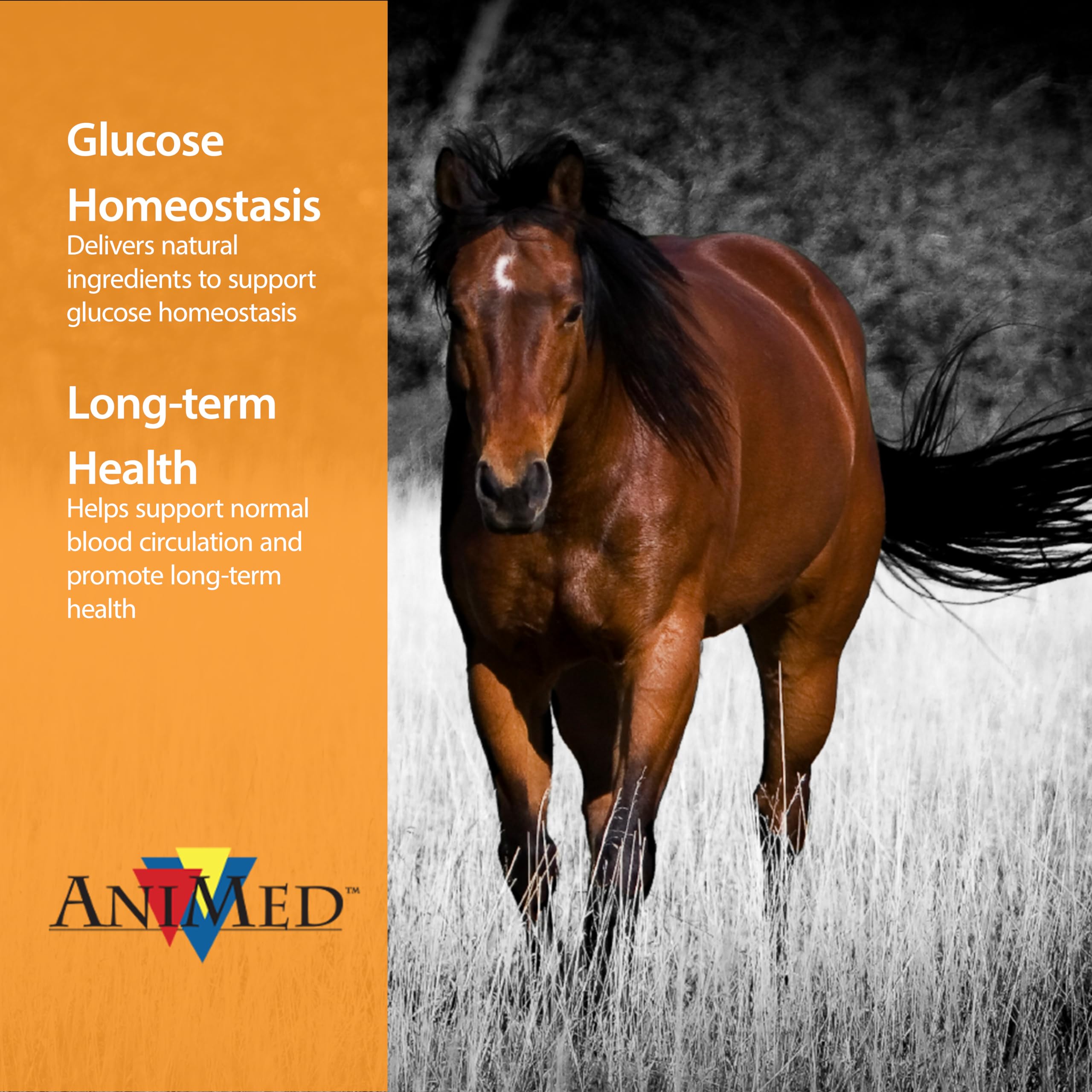 ANIMED Remission probiotics highlight gut health and natural balance in horses.