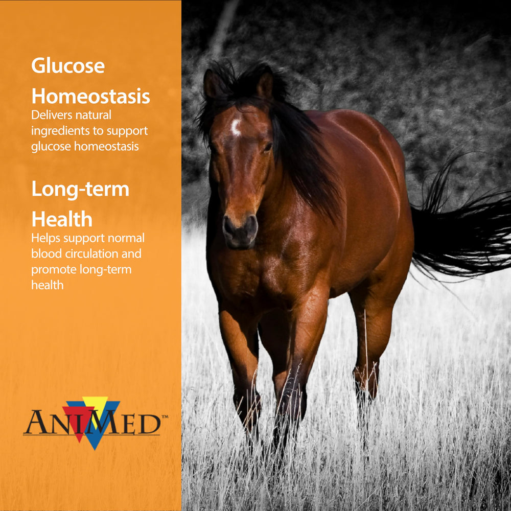 ANIMED Remission probiotics highlight gut health and natural balance in horses.