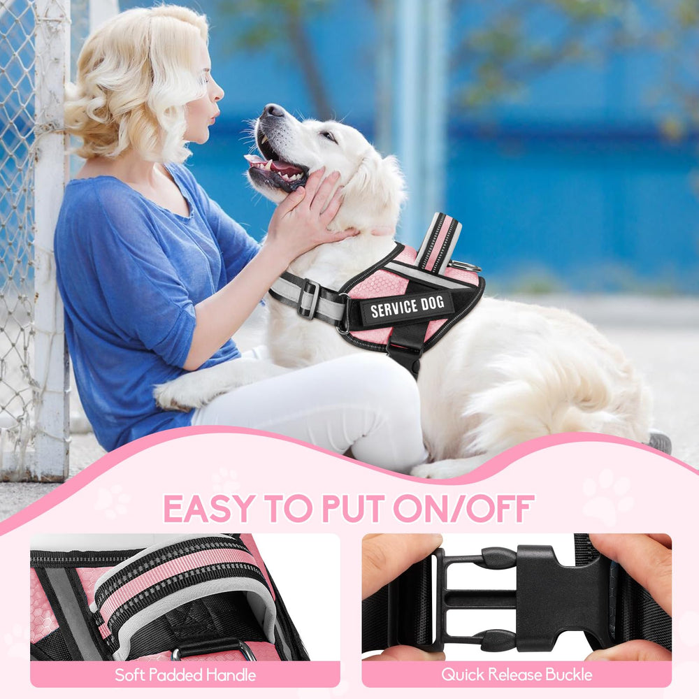 Animire 'DO NOT PET' patch on harness signals training boundaries.