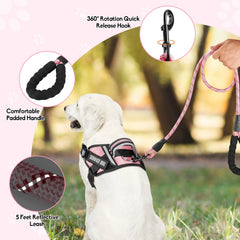 Animire five-foot reflective leash with secure grip for night visibility.