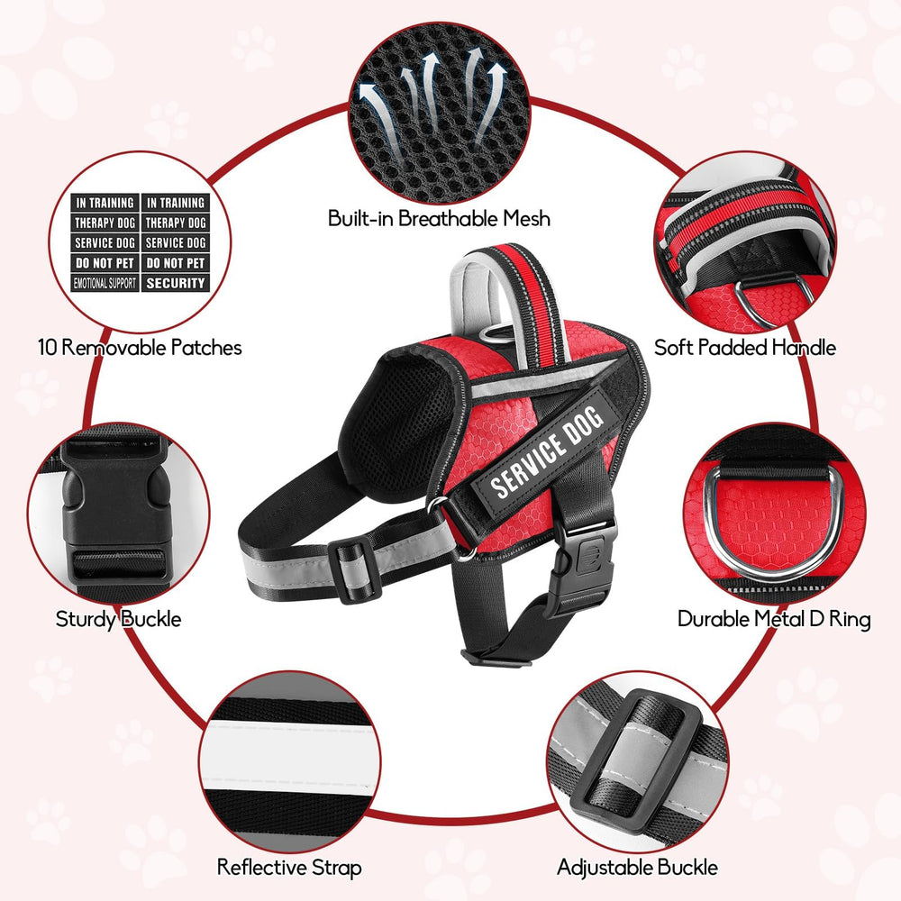 Animire padded handle leash designed for comfortable control