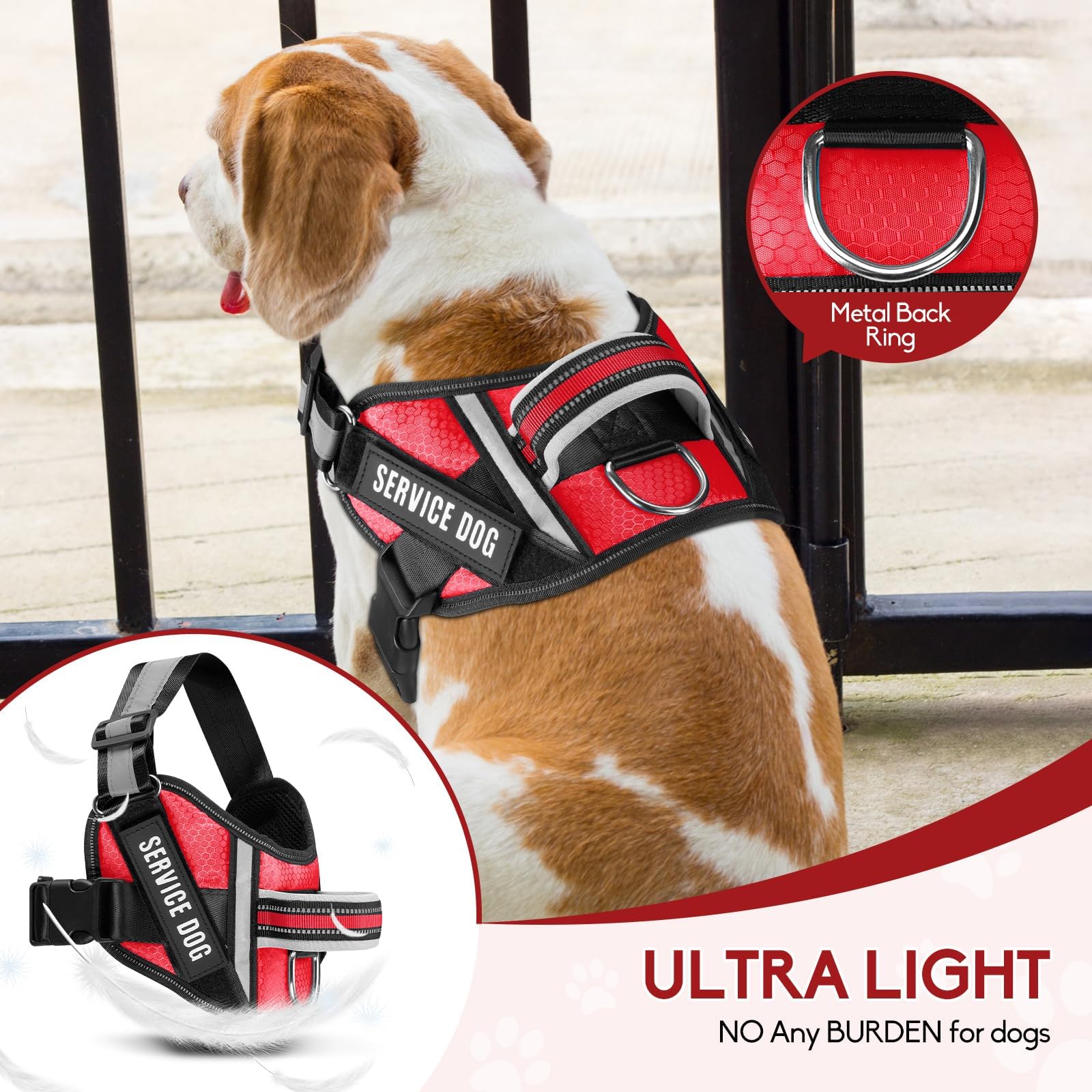Animire patch therapy dog signaling supportive work in settings