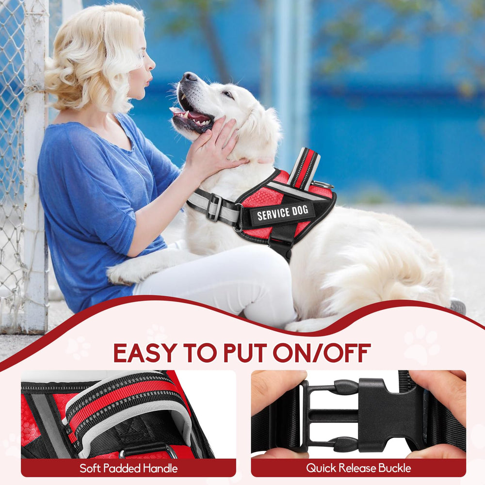 Animire reflective leash glows in low light for safer night walks.