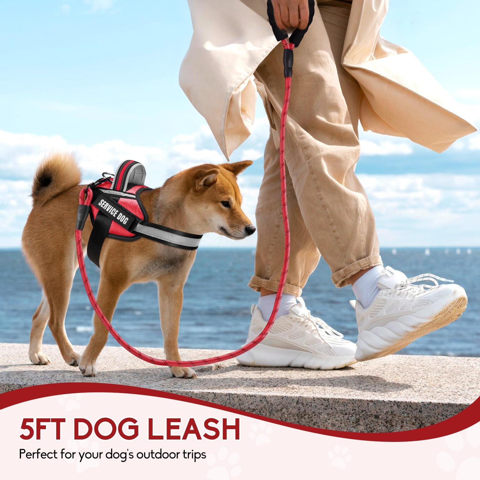 Animire reflective strip detail on harness and leash for visibility