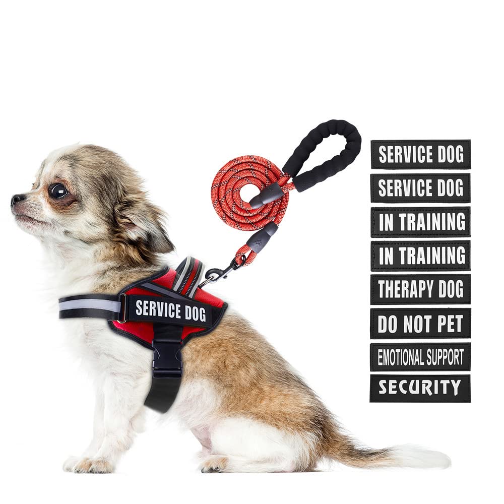 Animire service dog harness in red vest offers comfortable daily wear.